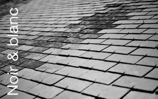 photo noir et blanc