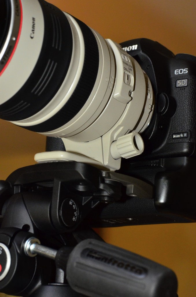 Canon 100-400 fiche canon
