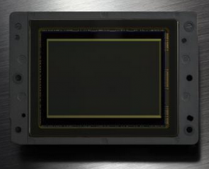 Nikon D810 sensor