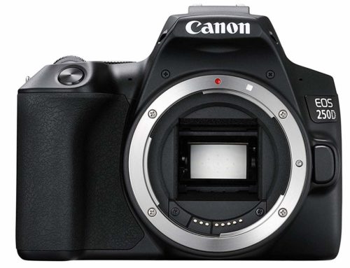 Objectifs recommandés pour Canon EOS 250D