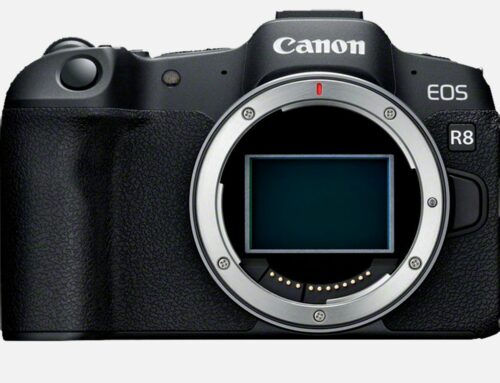 Nouveau Canon EOS R8
